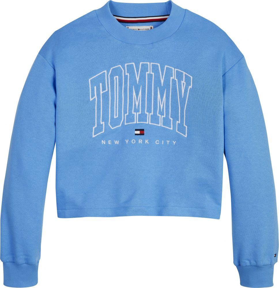 Tommy Hilfiger TH2304 Trui / Sweater Blauw