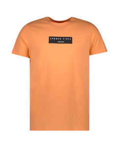 CJ1936 T-Shirt  DARTH TS Peach