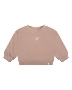 Trui / Sweater Daily7 D7NB-S23-5012