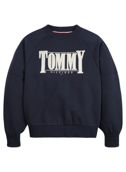 Tommy Hilfiger TH2441 Trui / Sweater Blauw