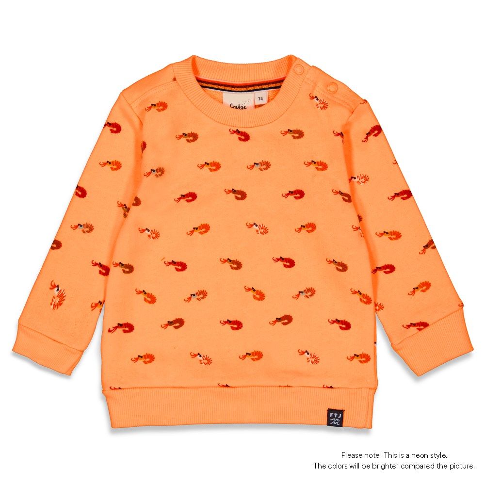 Feetje FE4616 Trui / Sweater Oranje