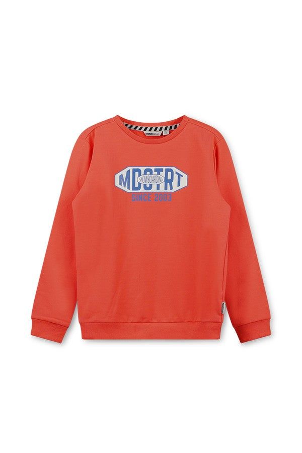 Trui / Sweater Rode sweater met print