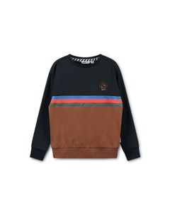 Trui / Sweater Multi colour sweater