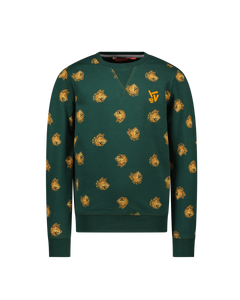 Trui / Sweater Sweater all-overprint Jesse donker groen