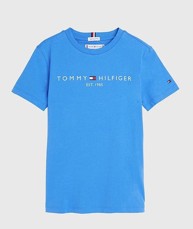 Tommy Hilfiger TH2421 T-Shirt Blauw