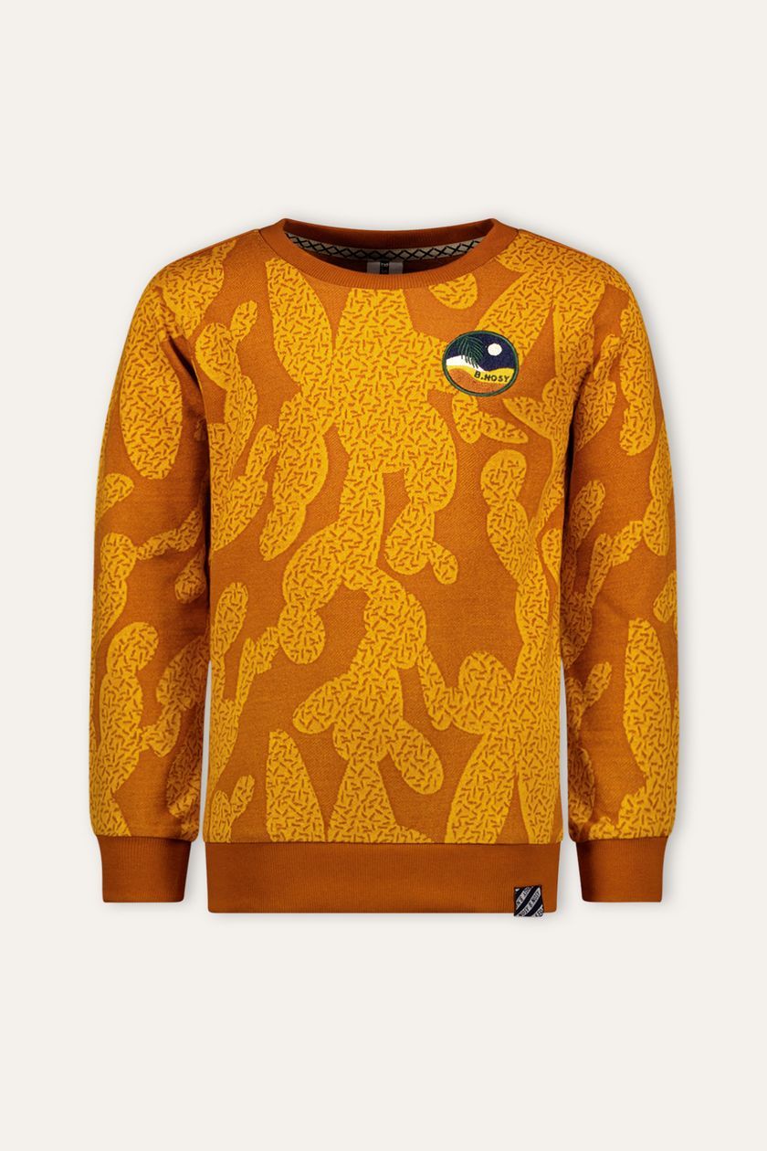 Trui / Sweater Guus B.Nosy boys sweater